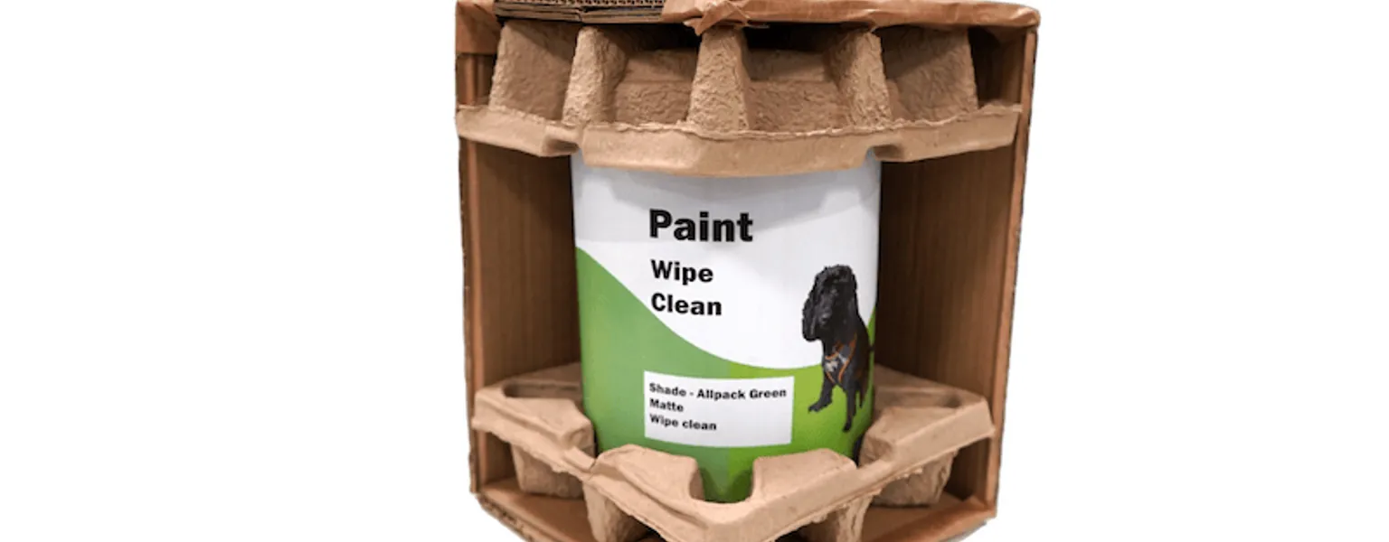 Allpack PaintGuard™️ ️sustainable in-transit packaging solution for liquid products