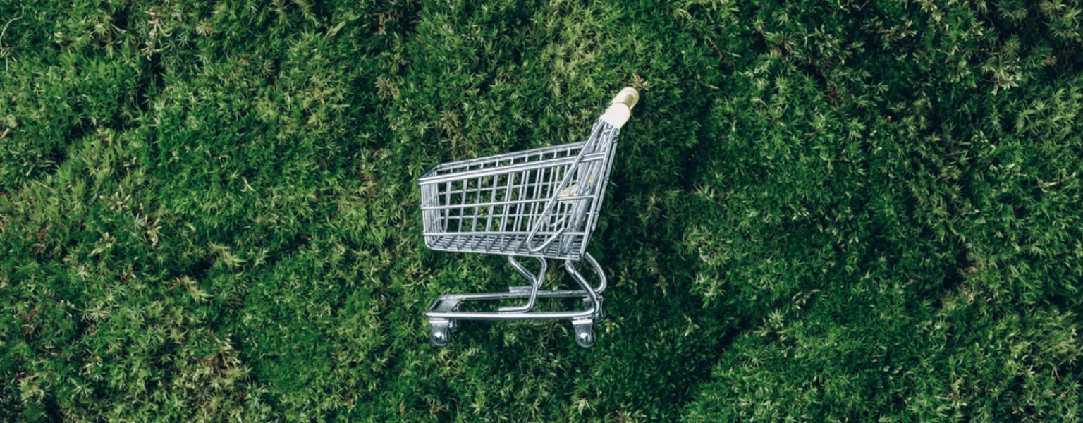 Embracing sustainability How brands are responding to eco conscious consumer demands