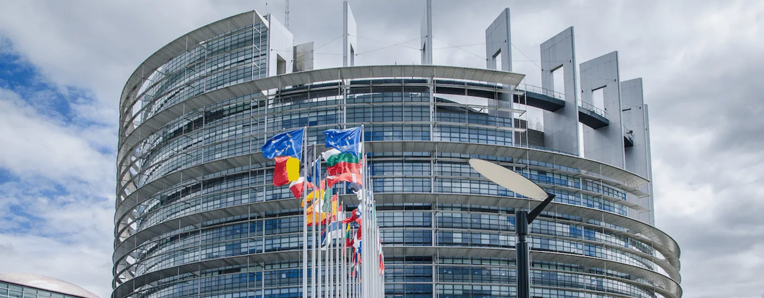European Parliament public domain