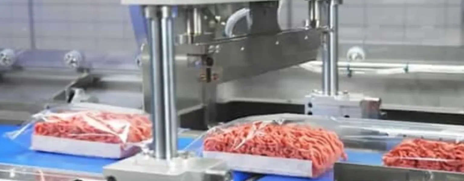 FUJI flow wrapping machine for minced meat