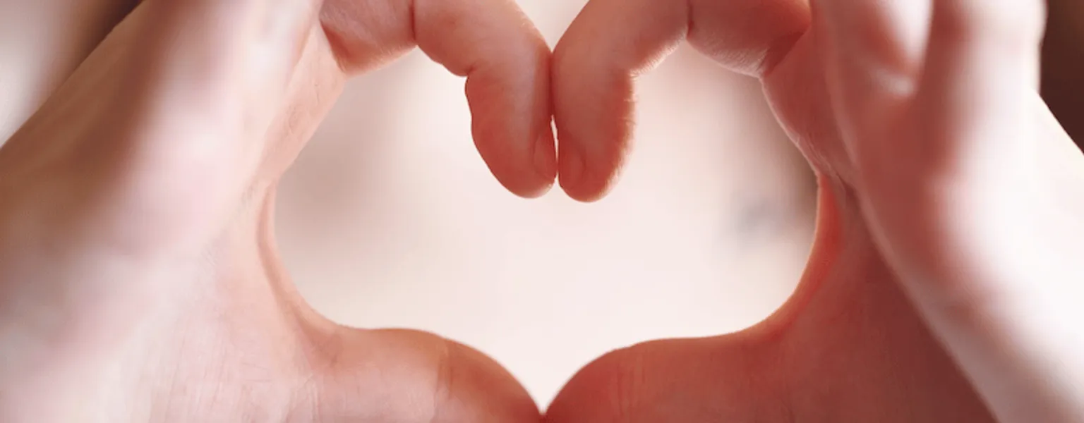 Heart hands public domain