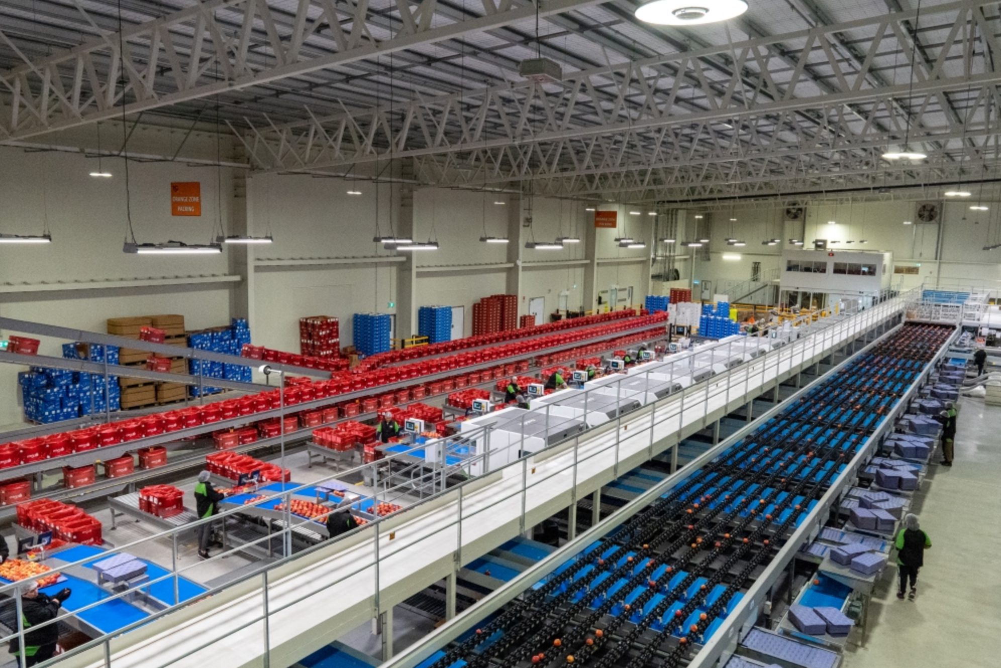 Interior of packhouse credit TG Global