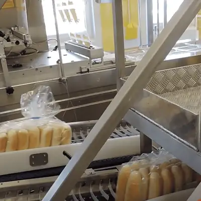 Laferpack BREDDY automatic bagging machine