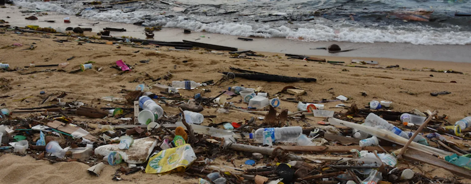 Litter on Singapores ECP credit vaidehi shah