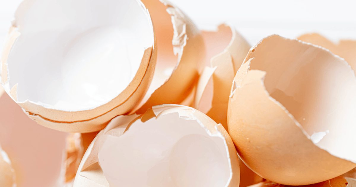 Packing Eggshell Eggshell-derived packaging receives… | Packaging Suppliers Global