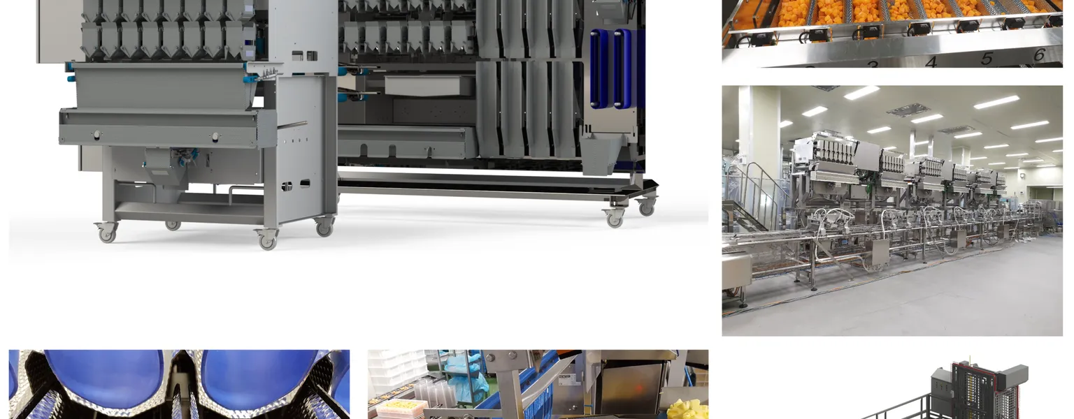 Newtecs 2008 PCM Mini Weigher solution for processed food products