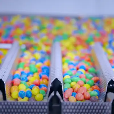 Newtec fast and efficient weighing solution for processed food