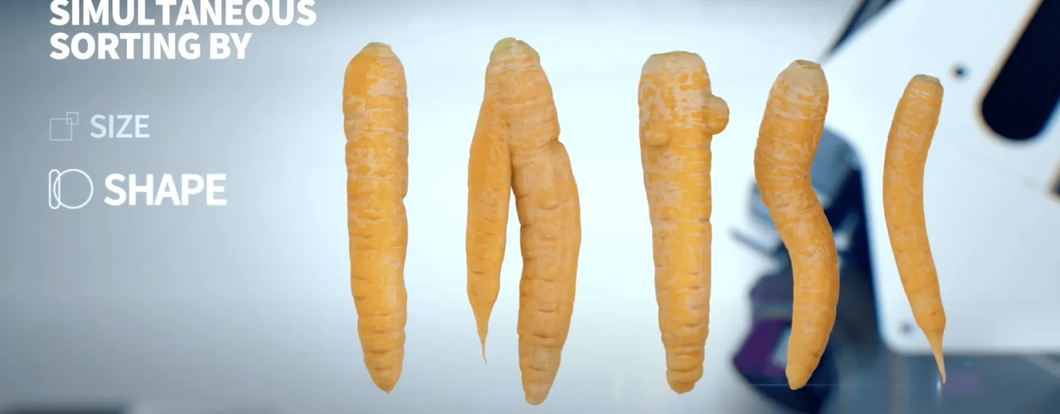 Newtec optical grading of carrots by quality, size and shape