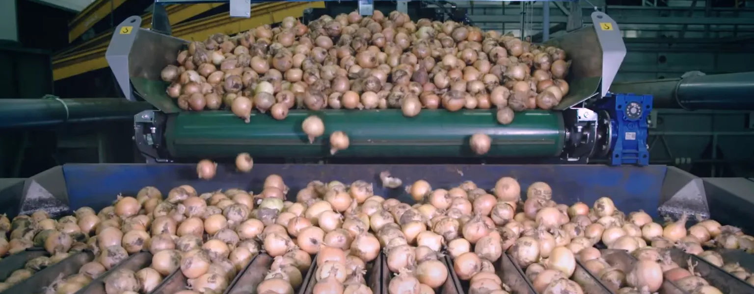 Newtec weighing and packing solution for onions
