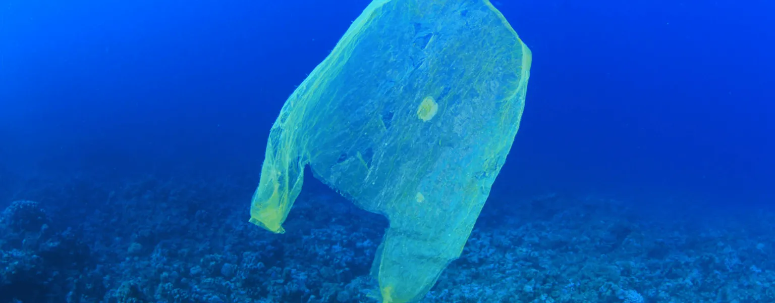 Plastic bag in the sea credit Michaelis Scientists