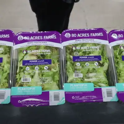 Quadrel Labeling Systems - Labelling salad containers