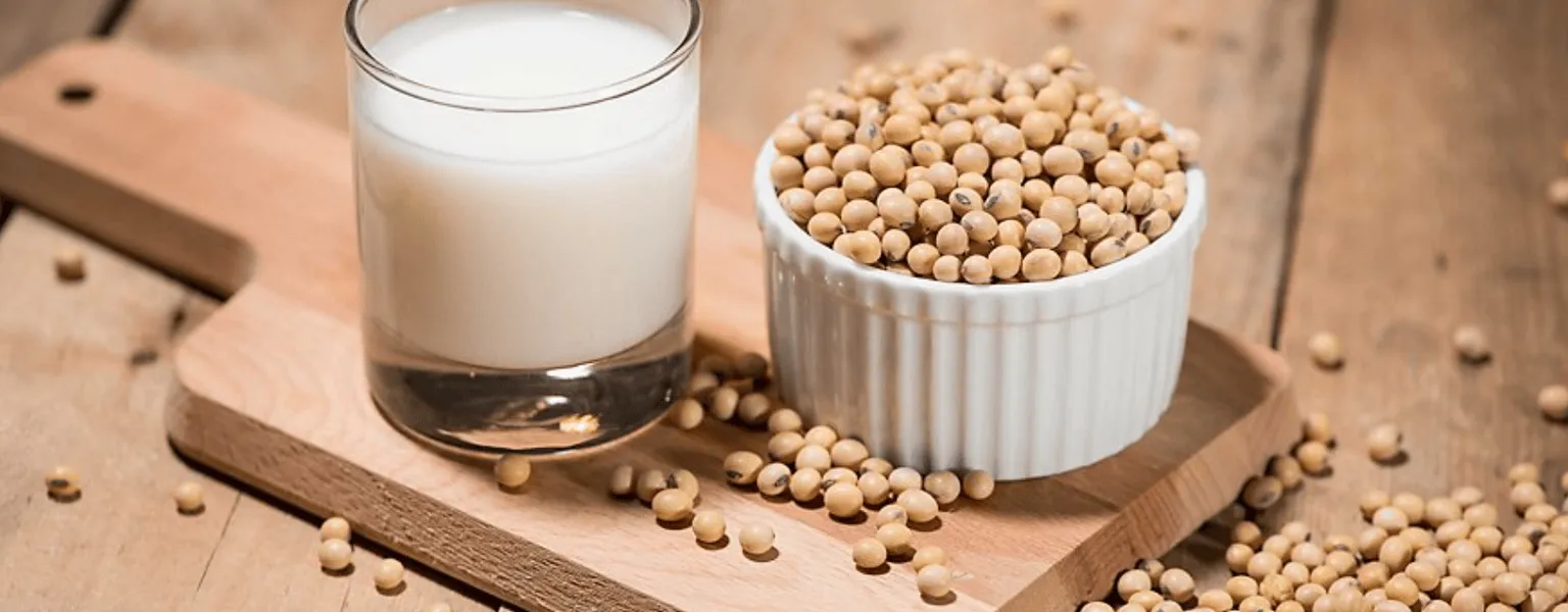 Tetra Pak develops breakthrough whole soya processing method