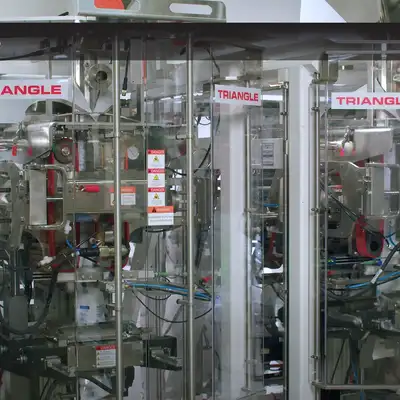 Triangle sanitary vertical form-fill-seal baggers and more