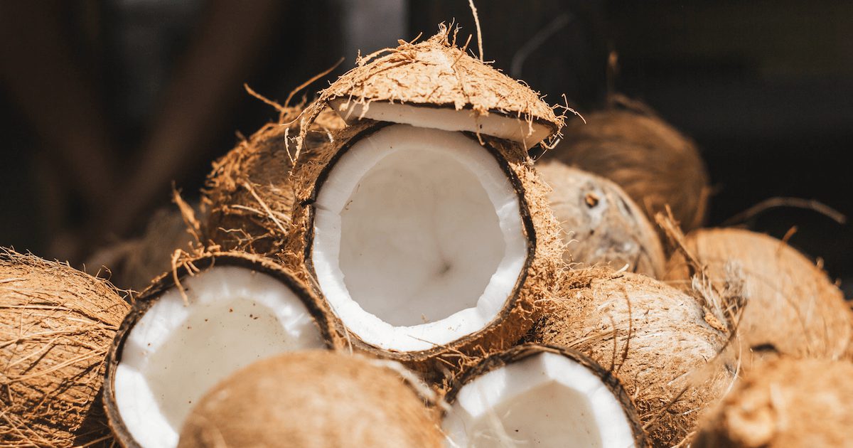 Husjs Researchers transform coconut husks into… | Packaging Suppliers Global