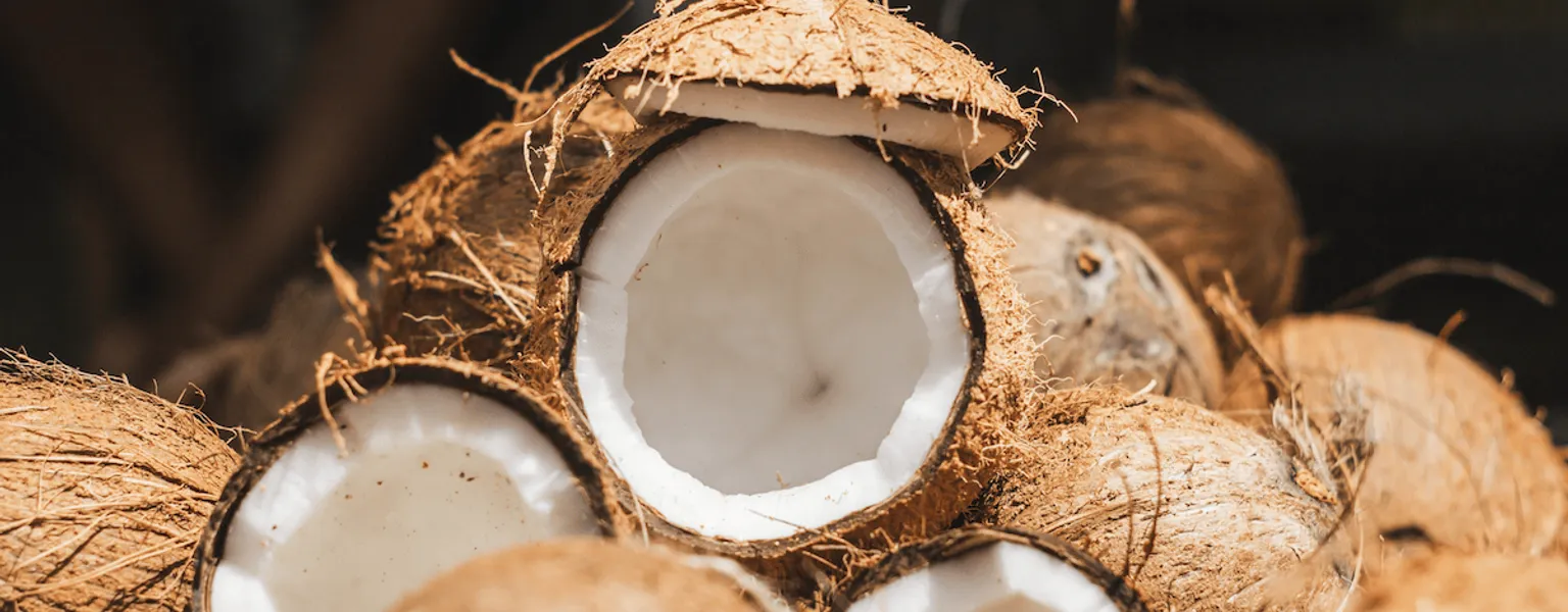 Welsh innovators transform coconut husks into eco friendly packaging