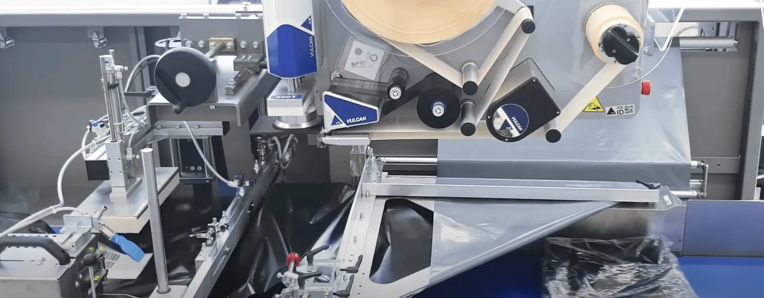 YPS – Flexo 700 E-COM horizontal bagging machine
